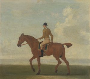 A Chestnut Racehorse with Jockey Up