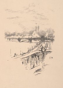 Savoy Pigeons