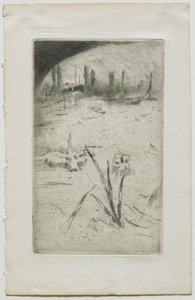 Swan and Iris