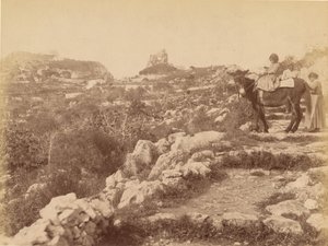 Capri [Child on Mule] by James Anderson
