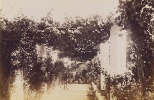 Garden - Capri by James Anderson