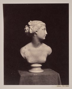 Gibson, Ideal Head by James Anderson