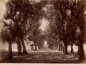 Villa Borghese by James Anderson