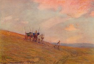 On the Downs Near Harting