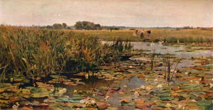 Water Lilies
