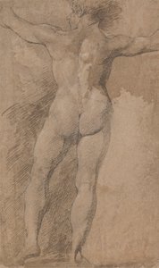 Male with Arms Spread Wide Seen from Behind by James Barry