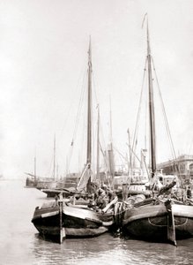 Canal Boats, Rotterdam
