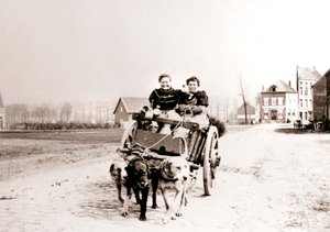 Dogs Pulling Women on a Cart, Antwerp, 1898