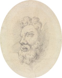 Head of a Bearded Man