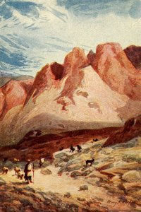 Mount Sinai - Acts vii 38