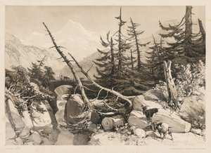Pine Trees and Bridge, 1841