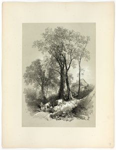 Shipley Bridge, Devon, from Picturesque Selections by James Duffield Harding