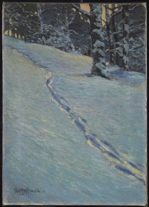 Morning after Snow, High Park