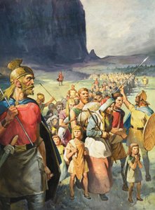 A Race of Warriors