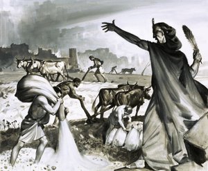 The Rise and Fall of Carthage: The Roman Curse on Carthage by James Edwin McConnell