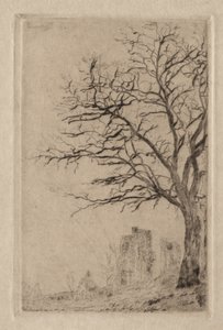 Acacia by James Ensor