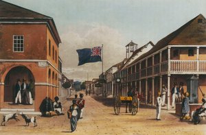 A Picturesque Tour of the Island of Jamaica, from Drawings Made in the Years 1820 and 1821