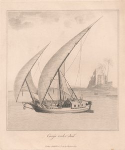 Canja Undersail