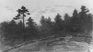 Landscape from McGuire Scrapbook