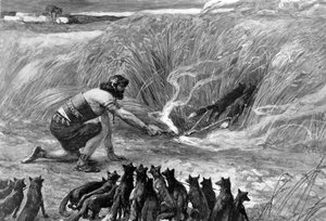 Samson and the foxes by J James Tissot - Bible