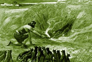 Samson and the Foxes