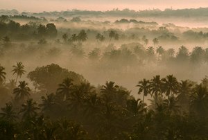 Early morning fog over Old Goa landscape at sunrise