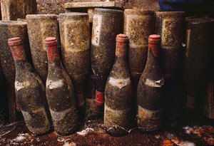 Red wine bottles, covered with mold, ageing in a wine cellar. Tain-L
