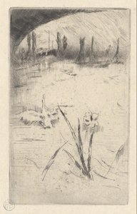 Swan and Iris
