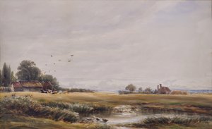 The Village Pond