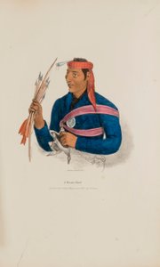 A Miami Chief, from The Aboriginal Portfolio by James Otto Lewis