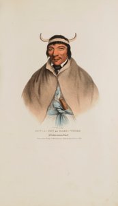 SUN-A-GET or Hard Times; A Pottawatomie Chief, from The Aboriginal Portfolio by James Otto Lewis