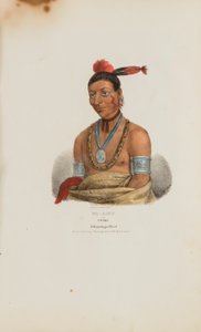 WA-KAUN or the Snake; A Winnebago Chief, from The Aboriginal Portfolio by James Otto Lewis