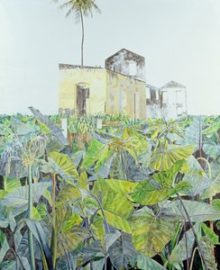 Ruin in a Swamp, Haiti by James Reeve