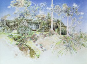 Ruined Temple, Tikal, Guatemala, 1984 by James Reeve