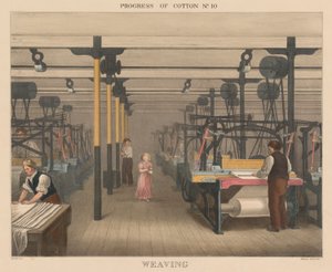 Progress of Cotton: #10 - Weaving by James Richard Barfoot