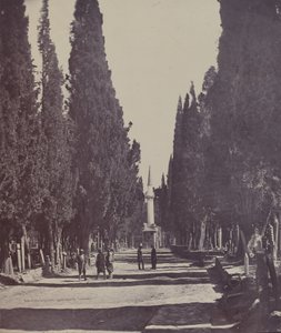 Scene in the Large Cemetery of Scutari by James Robertson