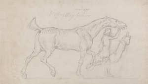 Man Leading a Trotting Stallion to Right by James Seymour