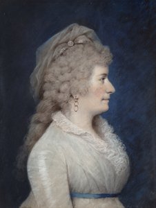 Lady Liston by James Sharples