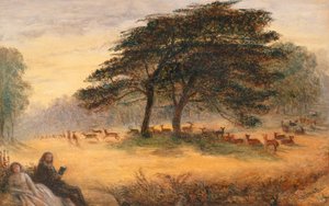 Lovers in Richmond Park