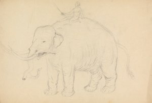 Elephant with Rider