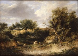 Wooded Landscape