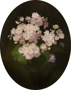 Primulas by James Stuart Park
