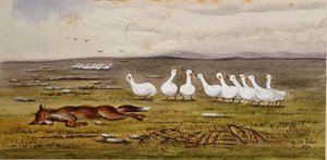 A Game of Fox and Geese by James W. Usher