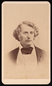 Portrait of Charles Sumner 1811-1874, Before 1874