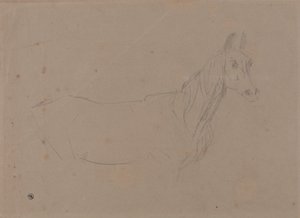 A Mare, Possibly a Study for "L
