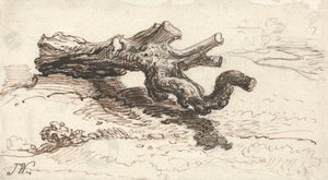 A Tree Trunk on the Ground by James Ward