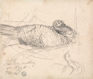 A Turkey Sitting on Eggs by James Ward
