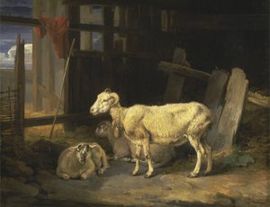 Heath Ewe and Lambs