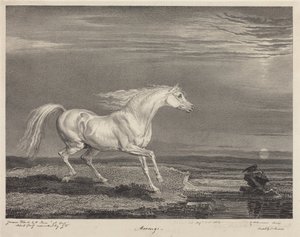 Marengo by James Ward
