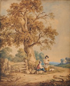 Rural Scene